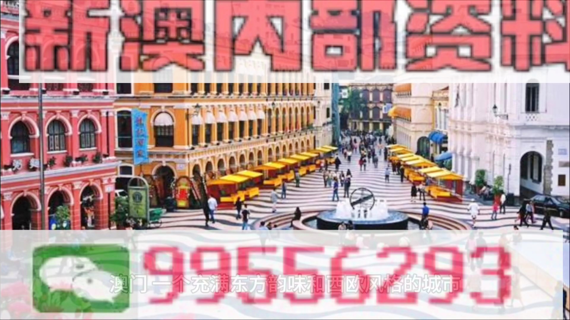 新澳门精准四肖期期准,新澳门精准四肖期期准的魅力与探索