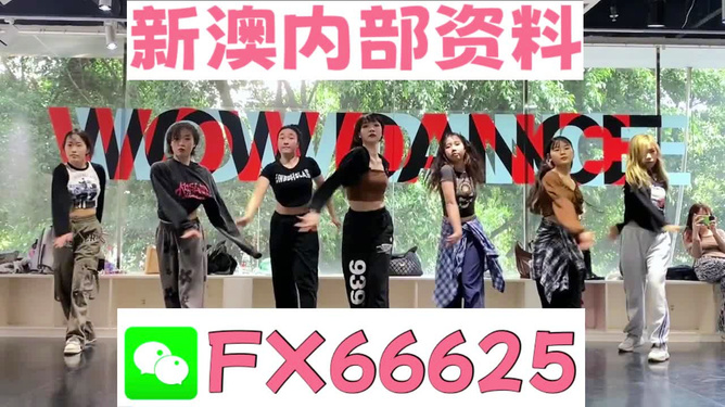新澳六叔精准资料4988,新澳六叔精准资料4988，揭秘背后的故事与真相