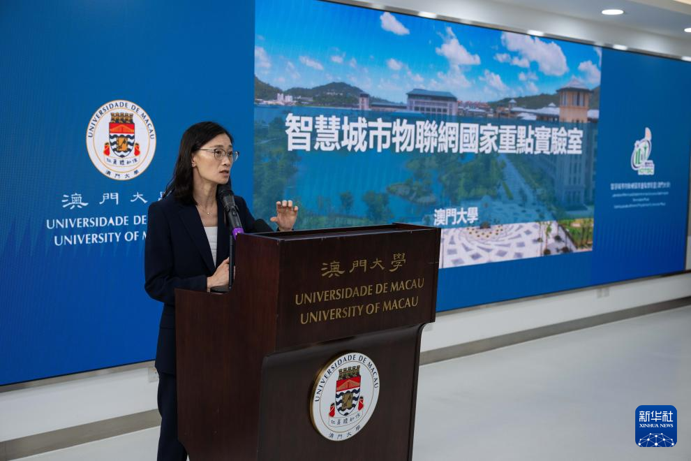 2025年新澳门天天开奖免费查询,探索未来彩票世界，2025年新澳门天天开奖免费查询
