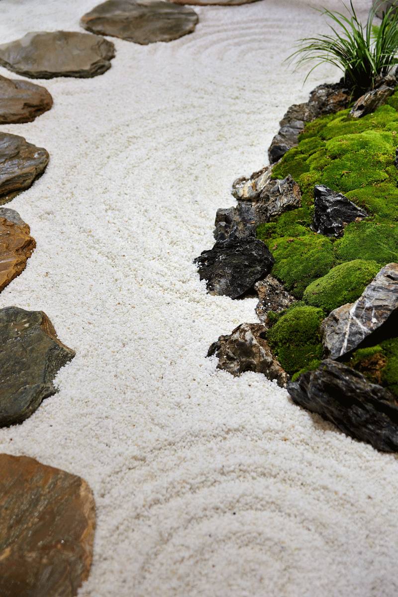 沣东湖光山色最新消息,沣东湖光山色，最新动态与前景展望