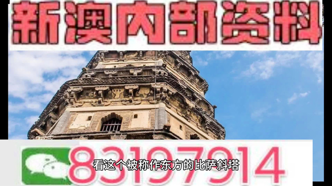2025新澳免费资料澳门钱庄,探索澳门钱庄，新澳免费资料与未来展望