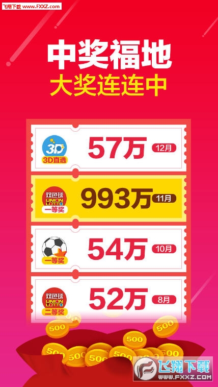 555525王中王四肖四码,揭秘彩票背后的秘密，探索555525王中王四肖四码的魅力